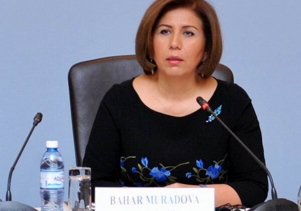 Руководитель делегации Азербайджана в ПА ОБСЕ дала весомый ответ на выступление армянского депутата