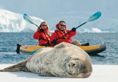 Британская компания предложила 12-часовые туры в Антарктику за $10 тыс.