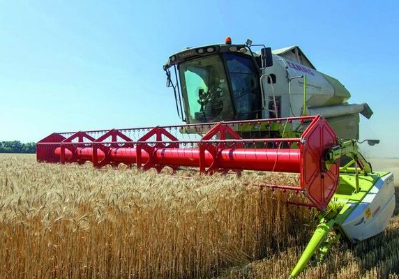 Качественное зерно - престиж страны 