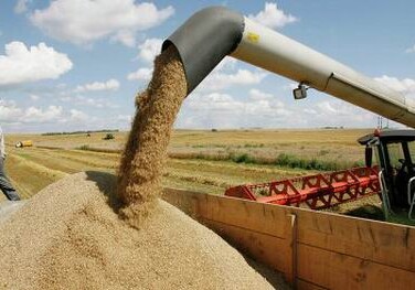 Азербайджан замыкает пятерку стран по закупкам зерна из РФ, Египет лидирует - Россельхознадзор