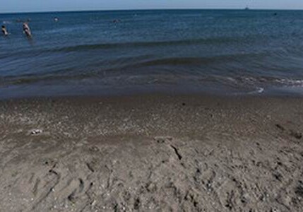 На пляжах в Бильгя, Мардакяне, Шувялане, Шихово встречаются гадюки – Предупреждение