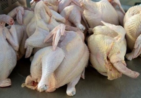 Разоблачены незаконные действия должностных лиц компаний, импортирующих в Азербайджан курятину