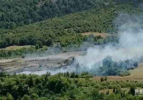 Пожар в Гирканском национальном парке:привлечены 3 пожарные машины и живая сила 