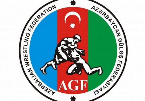 Все проблемы будут решены в ближайшее время – Заявление Федерации борьбы Азербайджана