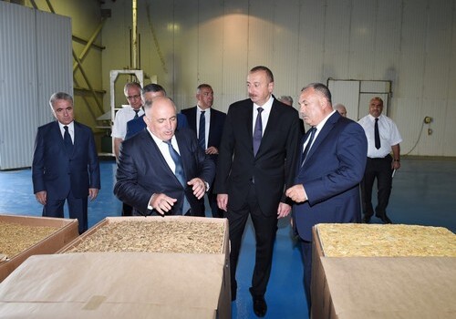Президент Азербайджана открыл ряд объектов в Загатале (Фото)