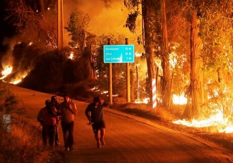 В Италии пожарные поджигали леса ради бонусов к зарплате