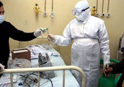 В Индии от свиного гриппа скончались более 280 человек