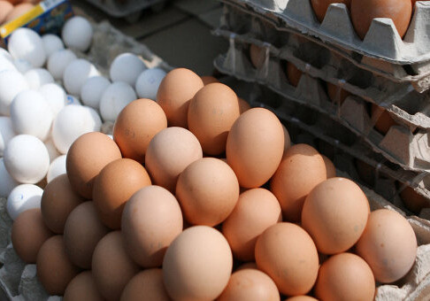 Скандал с ядовитыми яйцами - Комментарий Минсельхоза Азербайджана