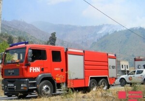 В Грузии пожарные из Азербайджана спасли от огня большие площади леса