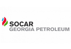 SOCAR Georgia Petroleum подключилась к восстановлению уничтоженных пожаром лесов в Грузии