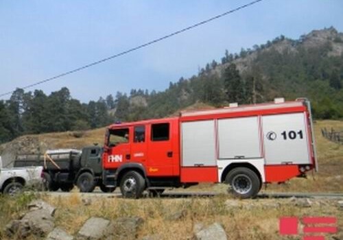 В Грузии азербайджанские пожарные погасили огонь на территории площадью 4 гектара