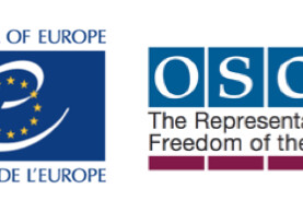 ОБСЕ и Совет Европы приветствуют решение об освобождении Мехмана Алиева