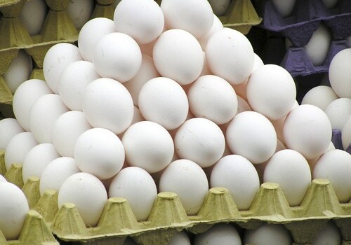 Азербайджан будет экспортировать куриные яйца в Катар 