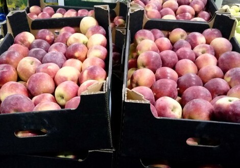 Россия запретила ввоз почти 300 кг зараженных фруктов из Азербайджана