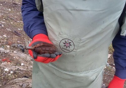 Возле мавзолея Низами Гянджеви обнаружена граната 