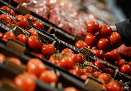 Россия пресекла ввоз десятков тонн томатов из Азербайджана