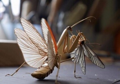 Реалистичные насекомые из бамбука (Фото)