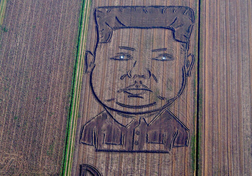 На соевом поле в Италии появился двухсотметровый портрет Ким Чен Ына (Фото-Видео)