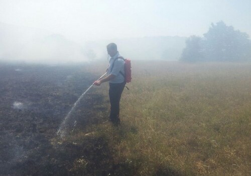Пожар в лесничестве Дастафур полностью потушен