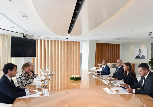 Первый вице-президент Азербайджана встретилась с заместителем председателя Сената Италии