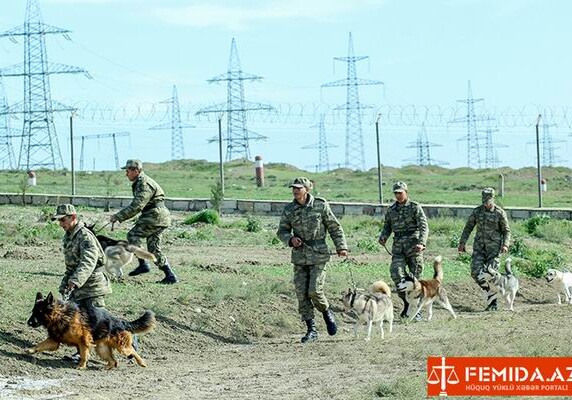 В Азербайджане караульных собак будут дрессировать реагировать на армянскую речь (Фото-Видео)
