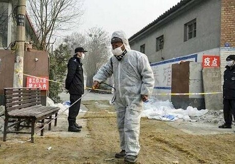 В Южной Корее обнаружили высокопатогенный штамм «птичьего гриппа»