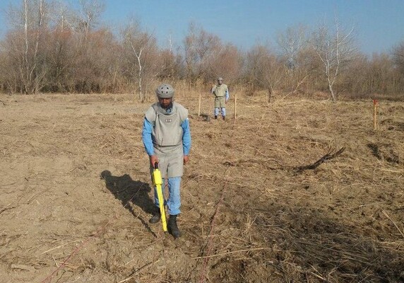 В Джоджуг Марджанлы полностью очищена территория площадью 6850 кв. м (Фото)