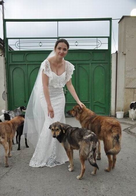 Азербайджанская зоозащитница провела свадебную фотосессию в Собачьем ящике (Фото)