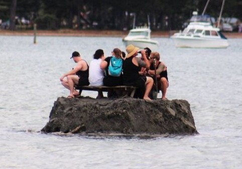 Новозеландцы насыпали остров, чтобы обойти запрет (Фото)