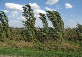 В Азербайджане сохранится ветреная погода