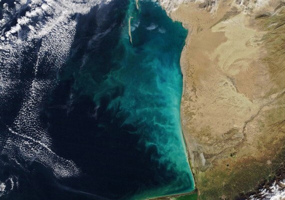 NASA показало «молочные вихри» в Каспийском море