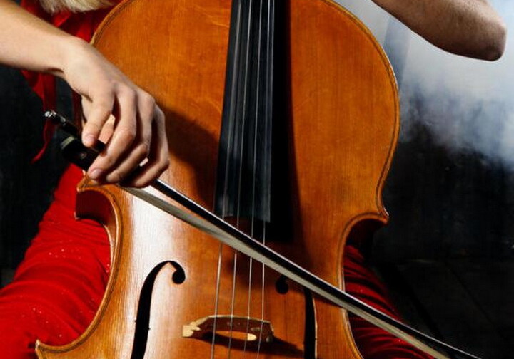У французской виолончелистки украли инструмент за 1,3 млн евро
