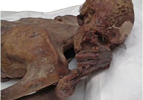 На коже египетских мумий найдены самые древние татуировки (Фото)