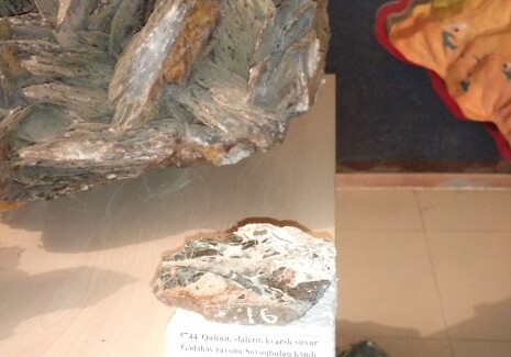 В фонд Музея геологии Азербайджана поступил экспонат, относящийся к среднеюрскому периоду