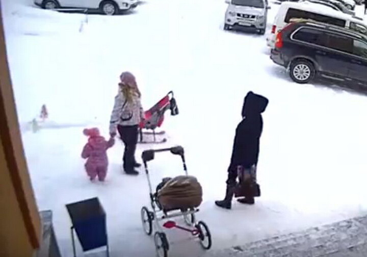 Полуторагодовалая девочка спасла мать от снежной лавины (Видео)