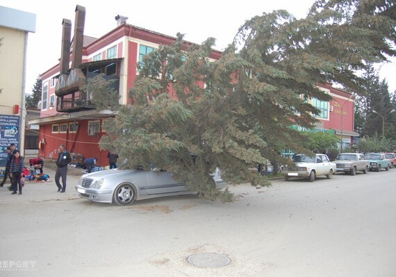 Ураганный ветер повалил деревья и снес крыши в Джалилабаде и Массалы (Фото)