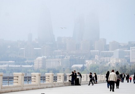 К полудню в Баку количество пыли в воздухе достигнет нормы – Минэкологии