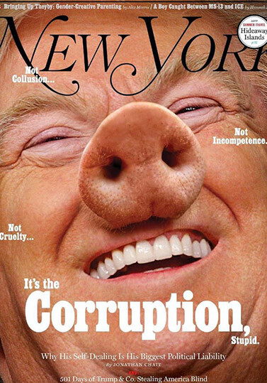 New York Magazine изобразил Дональда Трампа в образе свиньи