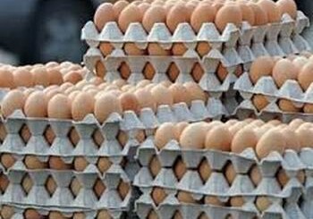 Азербайджан планирует экспорт яиц в Россию и Иран