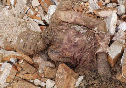 В Иране найдена мумия шаха Резы Пехлеви
