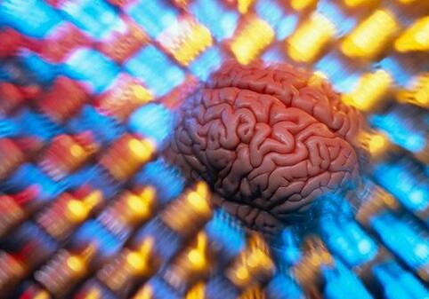 Ученым удалось заставить жить мозг вне тела 36 часов