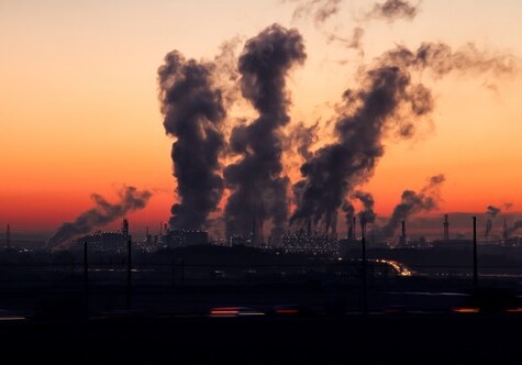 ВОЗ: каждый год в мире из-за загрязнения воздуха умирают 7 млн человек
