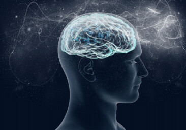 В течение последних 2 млн лет мозг человека втрое увеличился – Ученые
