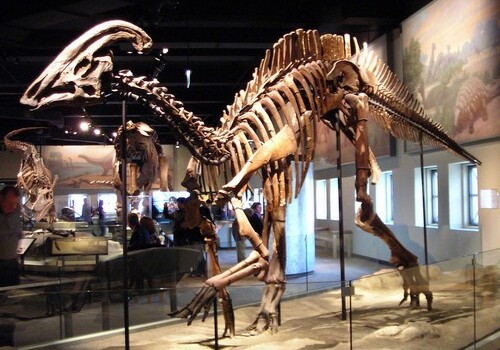Во Франции скелет динозавра ушел с молотка за 2 млн евро