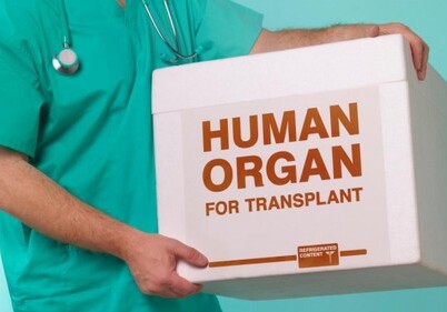 В Азербайджан разрешат привозить донорские органы умерших из-за рубежа
