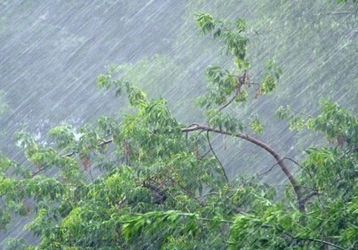 Дожди, грозы и сильный ветер ожидаются завтра в Азербайджане