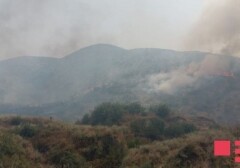 МЧС: Лесная зона в Агсу защищена от огня, пожар локализован