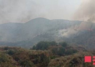 Лесные пожары в Шабранском районе потушены
