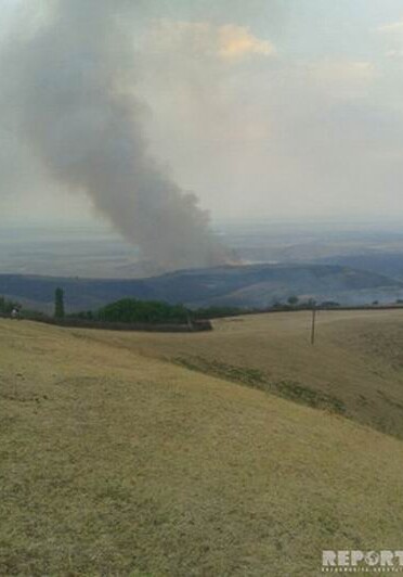 Пожар из Сиязани переметнулся в Шабран и Губу - Погибли животные и птицы (Фото)