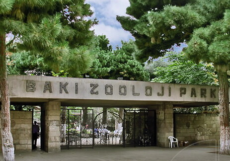 Бакинский зоопарк закрывается на реконструкцию